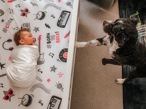 Baby swaddled in white on rock-themed bedding with text "BORN TO ROCK". Dog with paw on crib. Playful, warm atmosphere for newborn photoshoot.