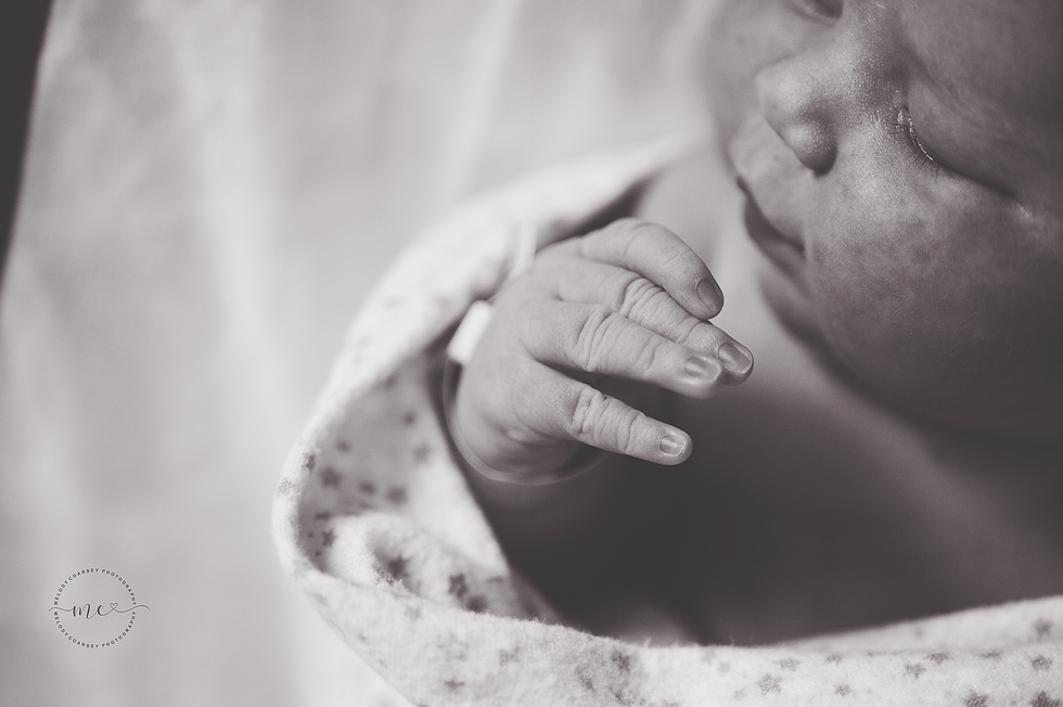 jacksonville fl newborn photographer