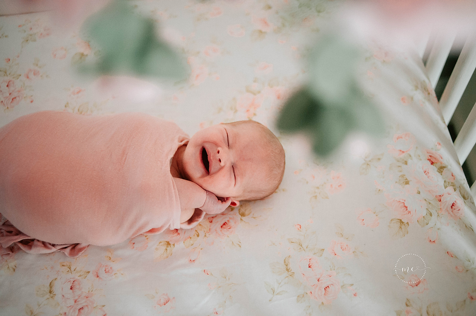 newborn photographer jacksonville