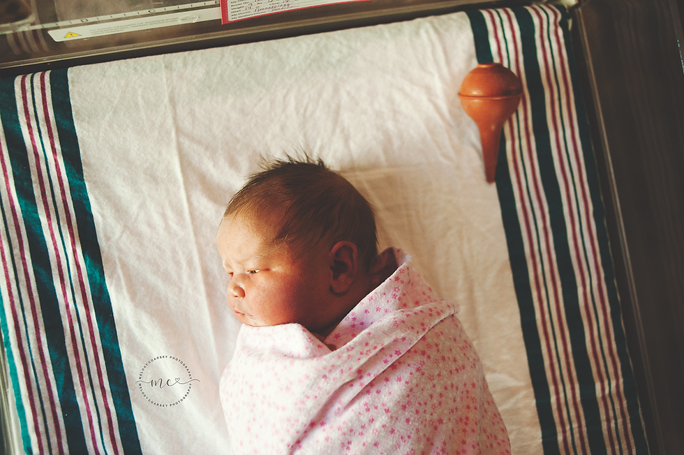 jacksonville fl newborn photographer