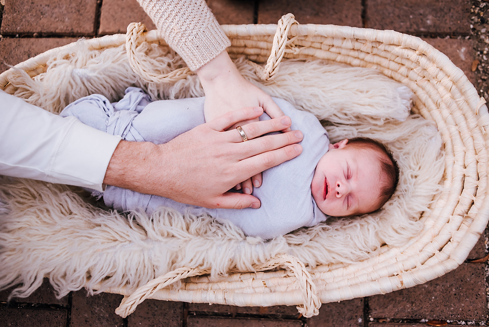 jacksonville fl newborn photographer