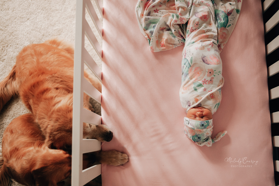 st augustine in home newborn photography