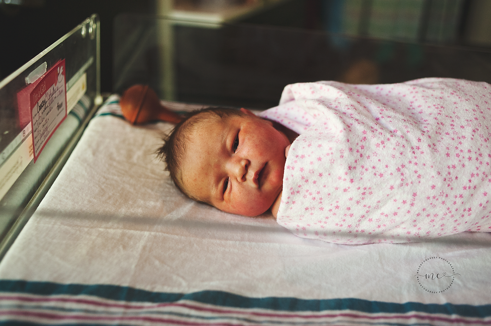 best newborn photographer jacksonville fl