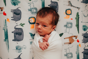 jacksonville lifestyle newborn photographer