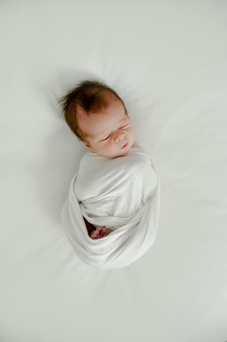 jacksonville newborn portraits