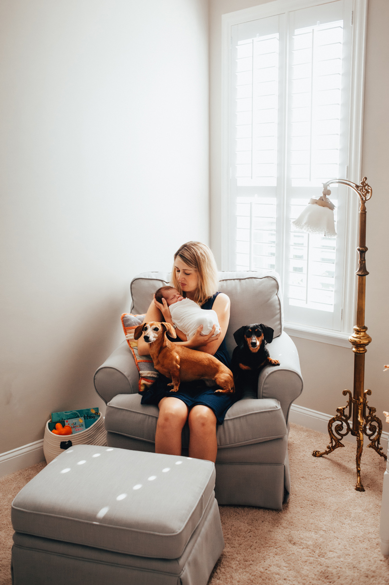 jacksonville fl newborn photographers