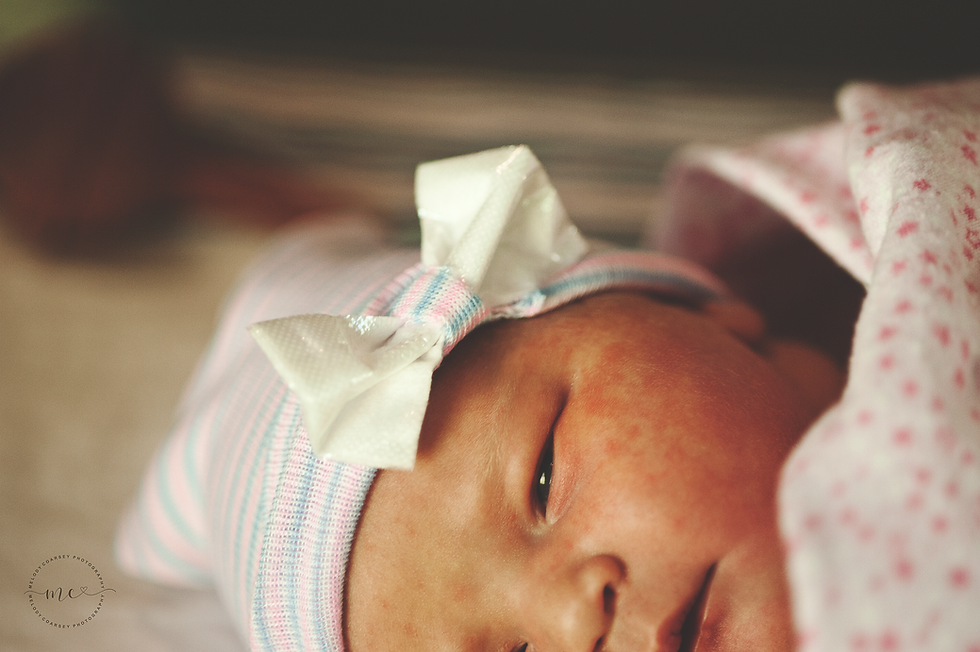 jacksonville fl newborn photographer