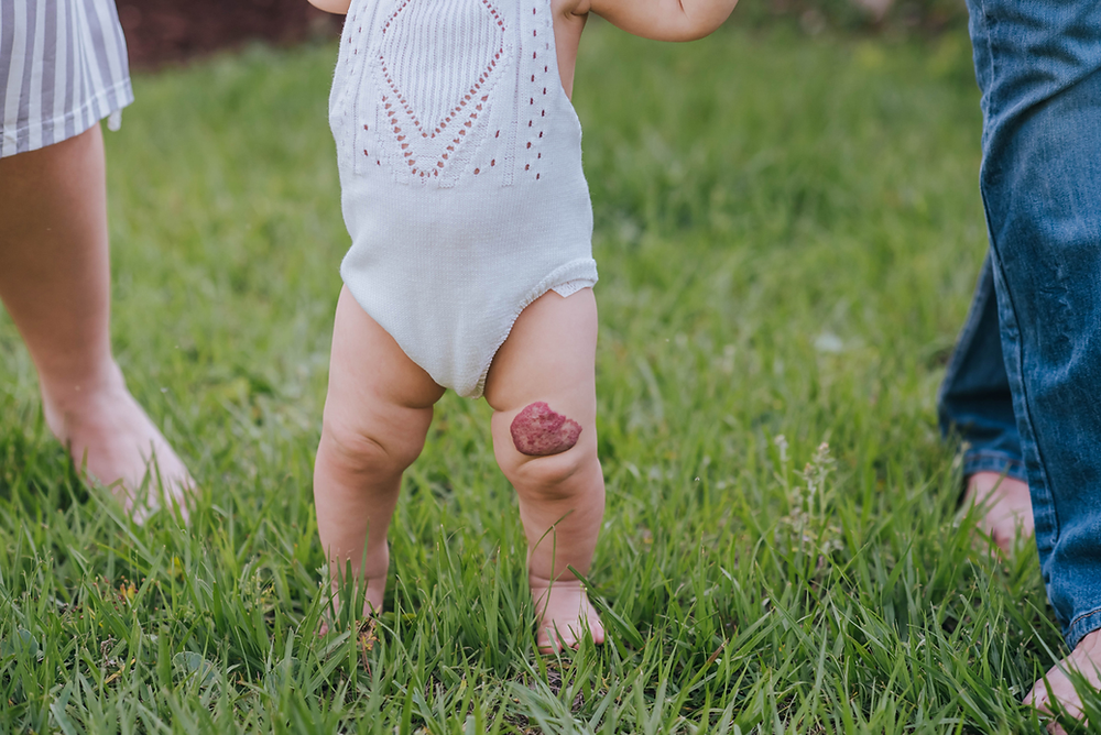 family photographer jacksonville fl