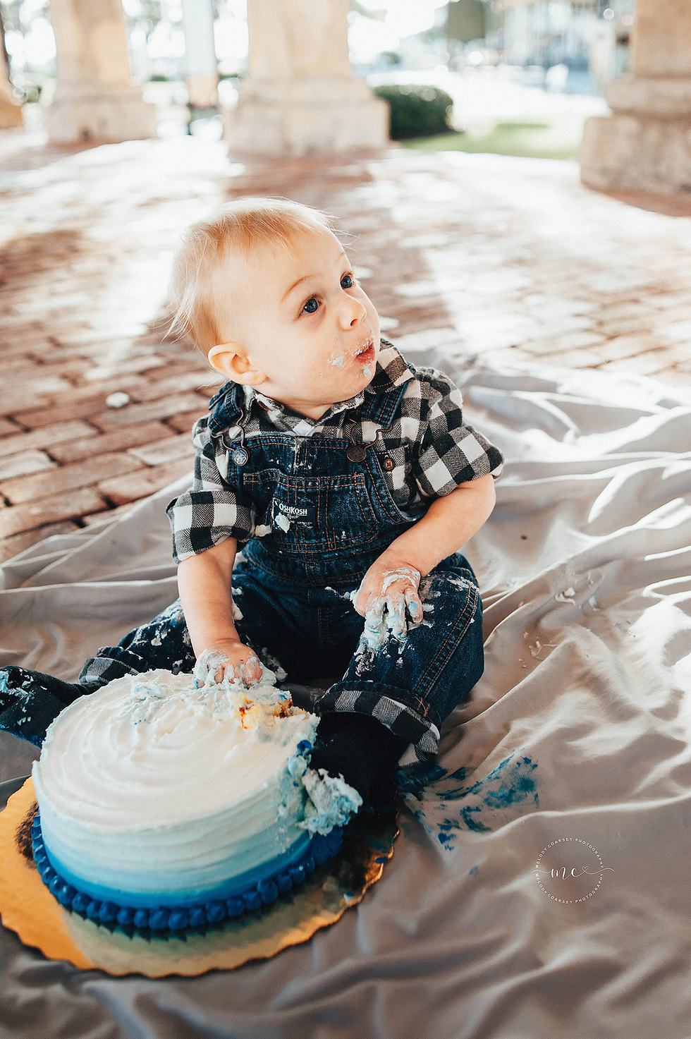 first birthday photography