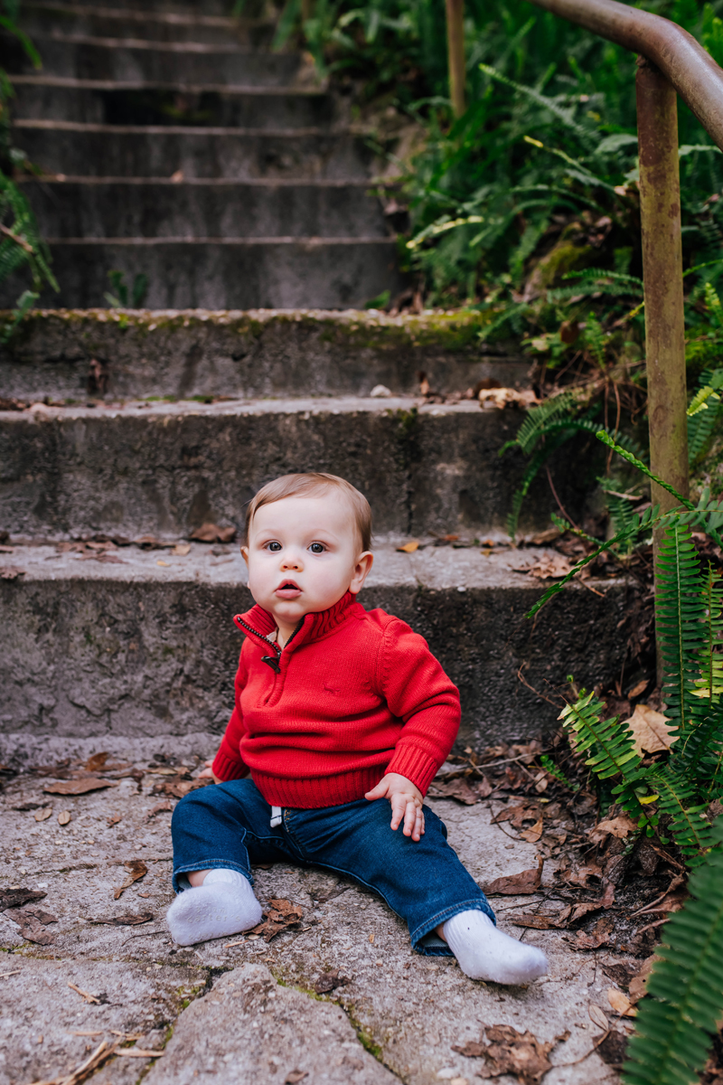 family photographer st augustine