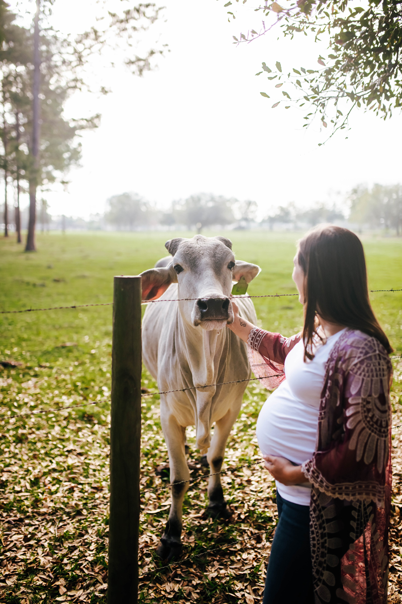 maternity photos in st augustine