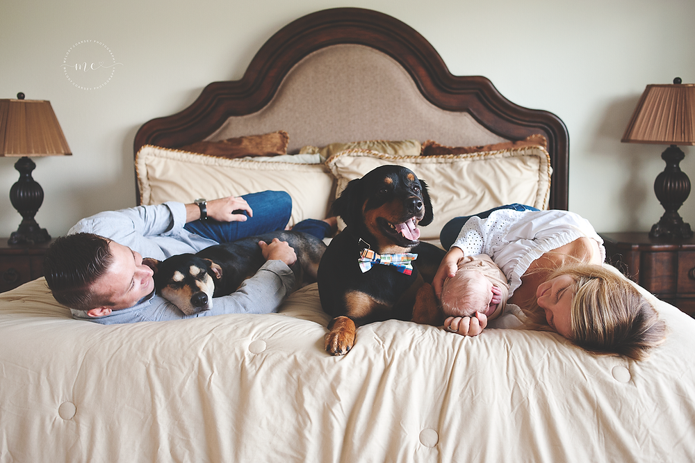 newborn photographer jacksonville