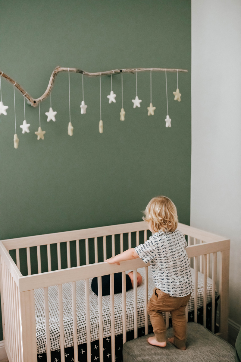 saint johns fl newborn photographers