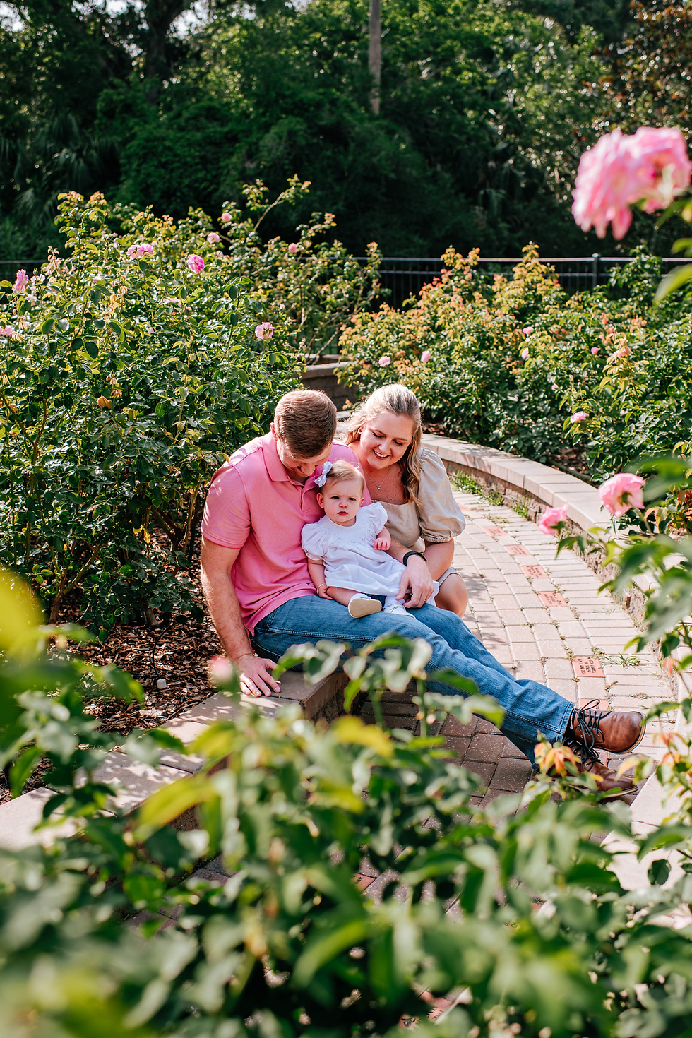 Family sitting in a garden with blooming roses. The adults smile as they look at the child in white on their lap while a local family photographer captures the moment. Sunny, relaxed setting.