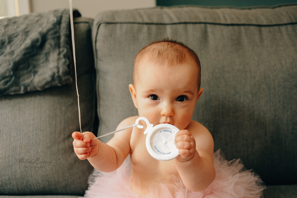 best jacksonville family photographer