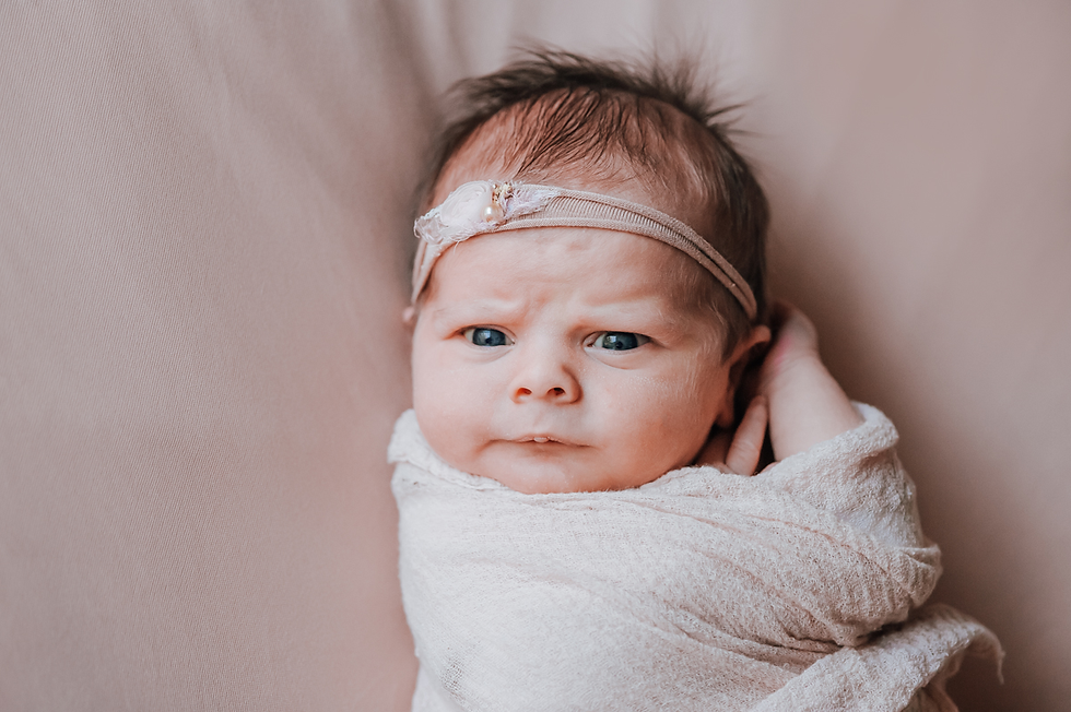 newborn photographers st augustine fl