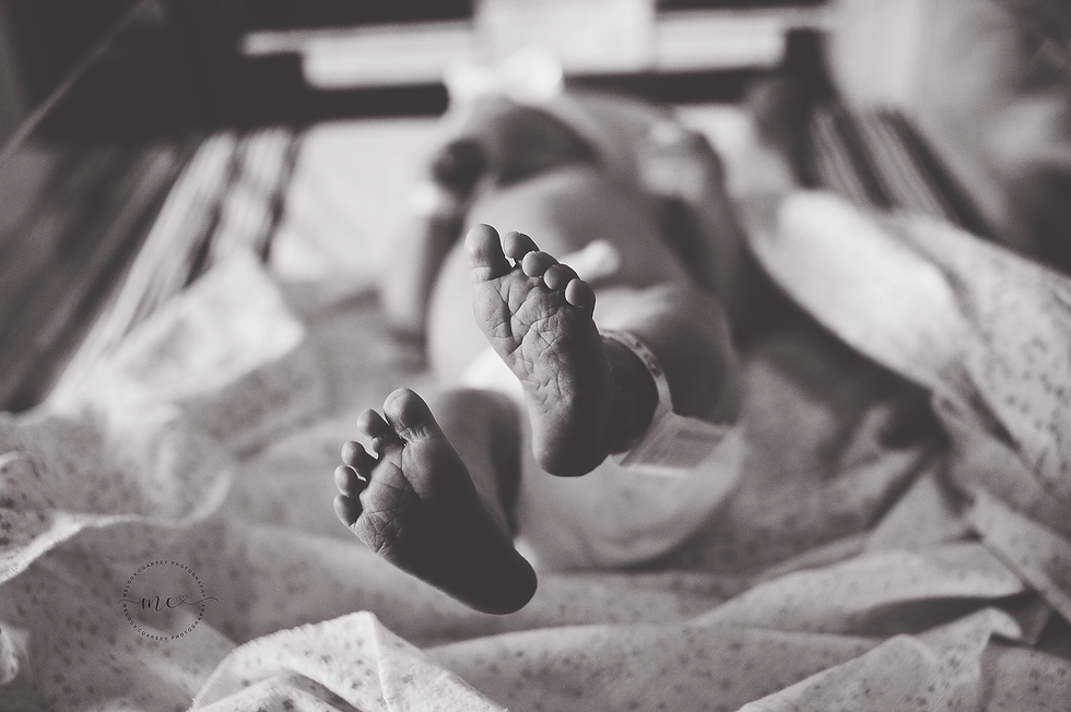 jax newborn photographer