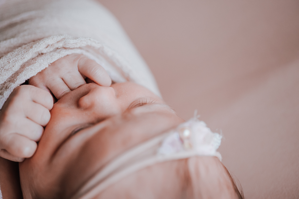 st augustine newborn photographers