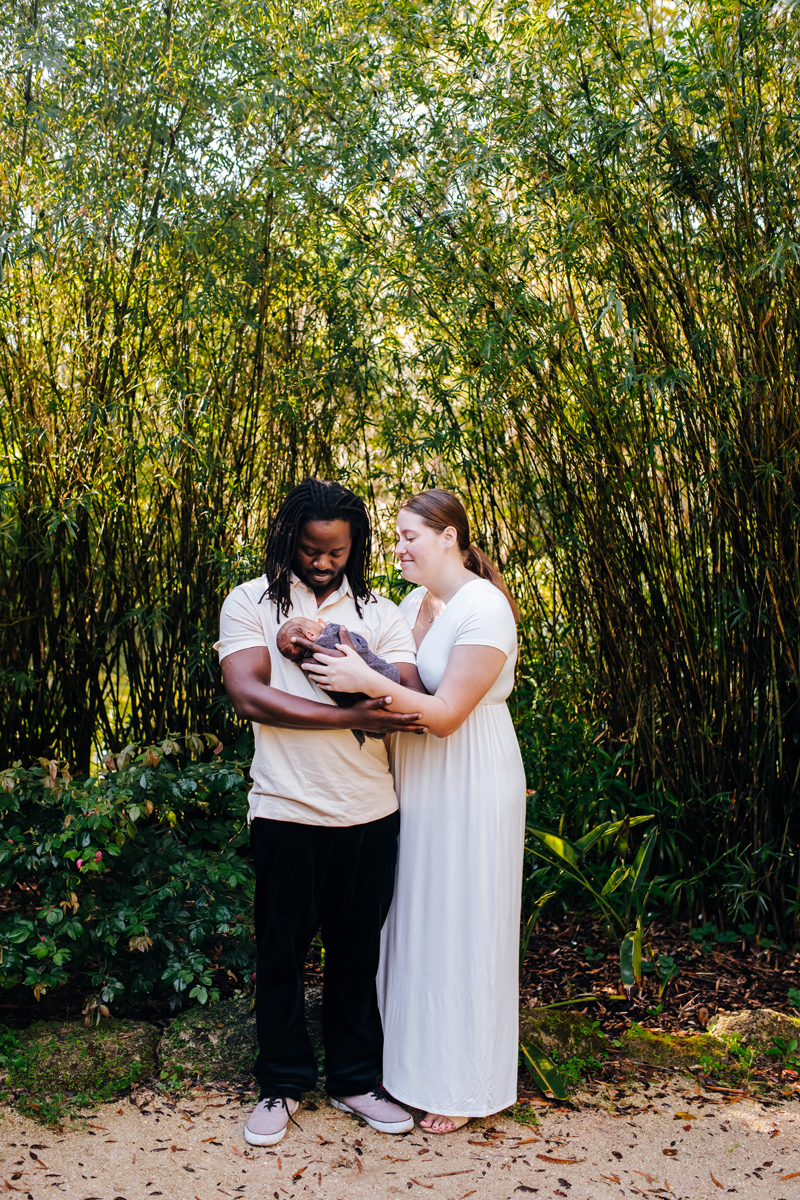 newborn photographer st augustine fl