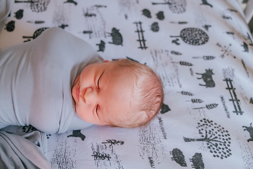 newborn photographers in jacksonville fl