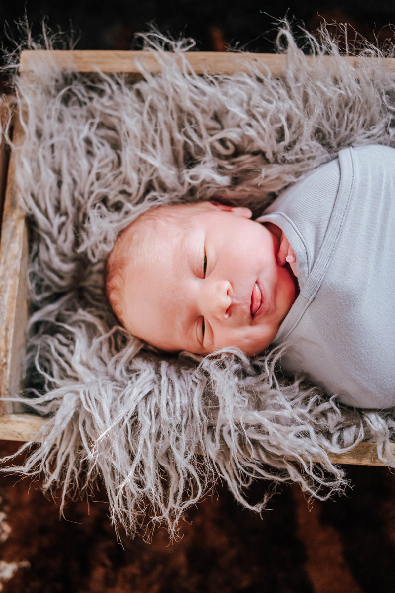 newborn photographer jacksonville