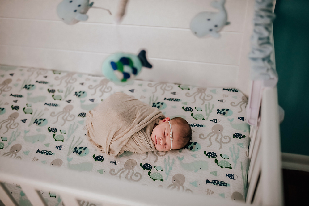 jacksonville lifestyle newborn photographer