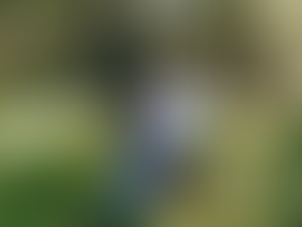 Milestones | Jacksonville Family Photographer | Family Photography