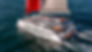Catamaran Prestige Class