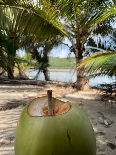 Caribbean local cuisine and fresh coconuts are definitely a highlight on your caribbean kite cruise adventure.