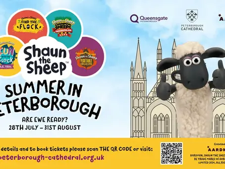 SHAUN THE SHEEP SUMMER
