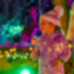 Nene Park Winter Festival