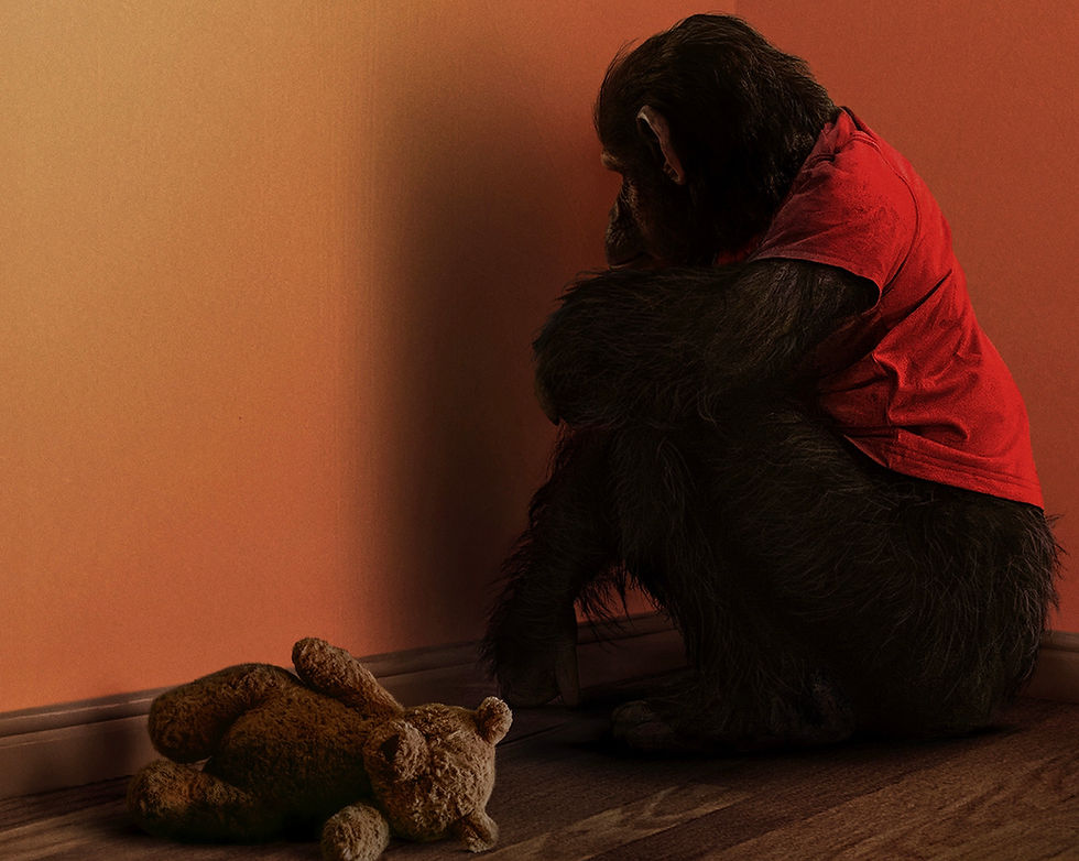 FILM REVIEW: PRIMATE (18) ESP RATING: 3.5/5