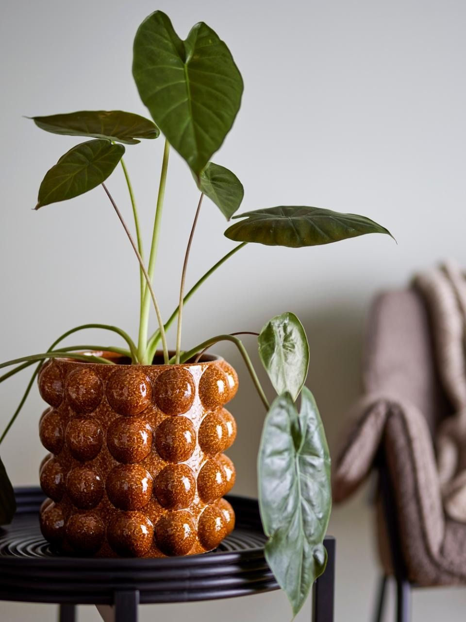 MACETA, DEIA - BLOOMINGVILLE 