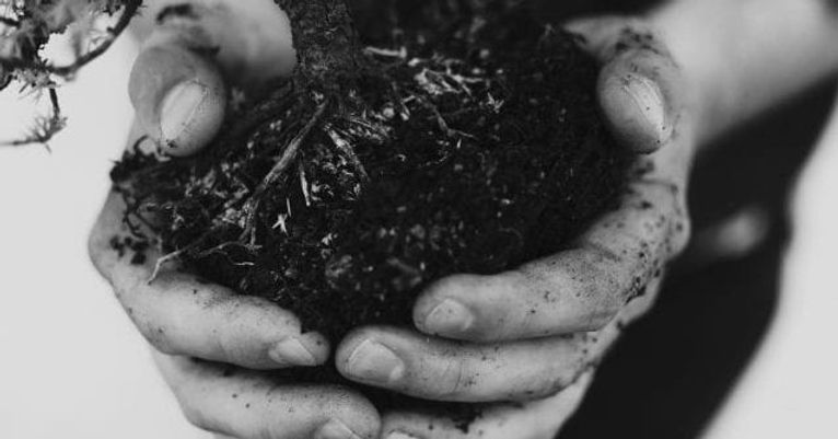 The Compost Doctor