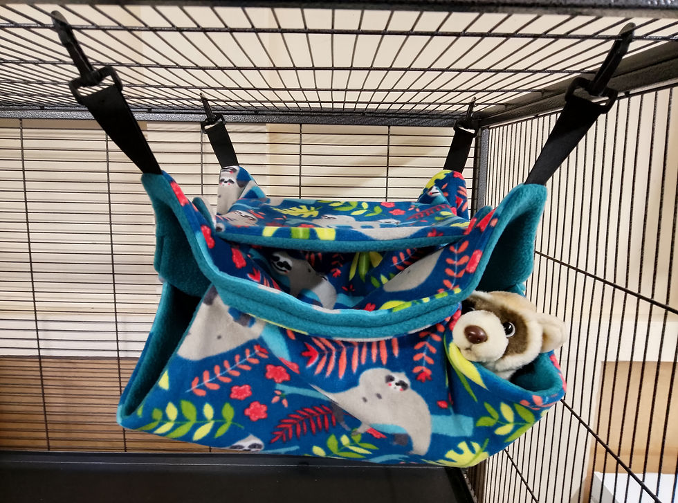 Thumbnail: Triple Hammock, Cute Sloths.