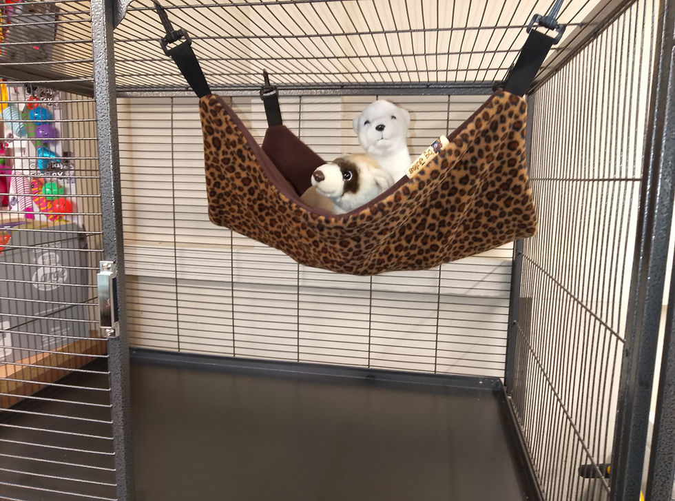 Thumbnail: 19" Hammock, Leopard.