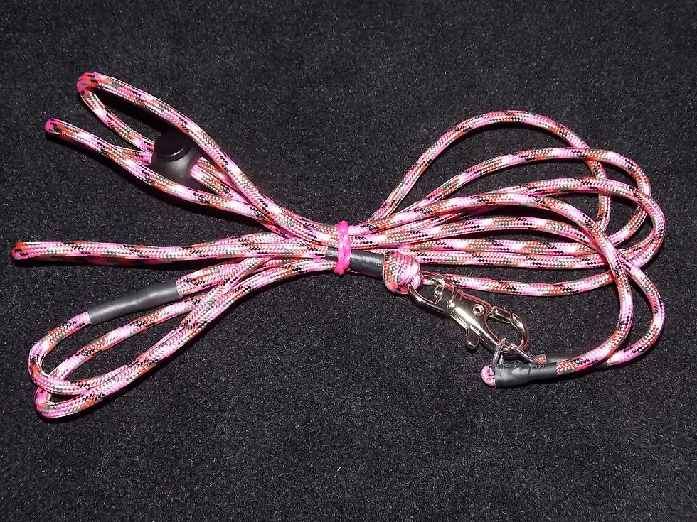 Thumbnail: Harness + Matching Lead Sets, Mixed Colours