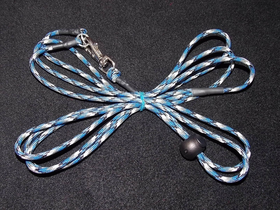 Thumbnail: Harness + Matching Lead Sets, Mixed Colours