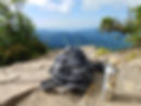 Reconnect your team on a gratitude hike