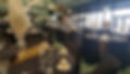 Resized_20181110_142703(1).jpeg