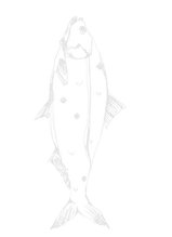 AEnB2UpZXrtHZKVzYjQWvcBxs6S2K1Cm_JjdH1Wp