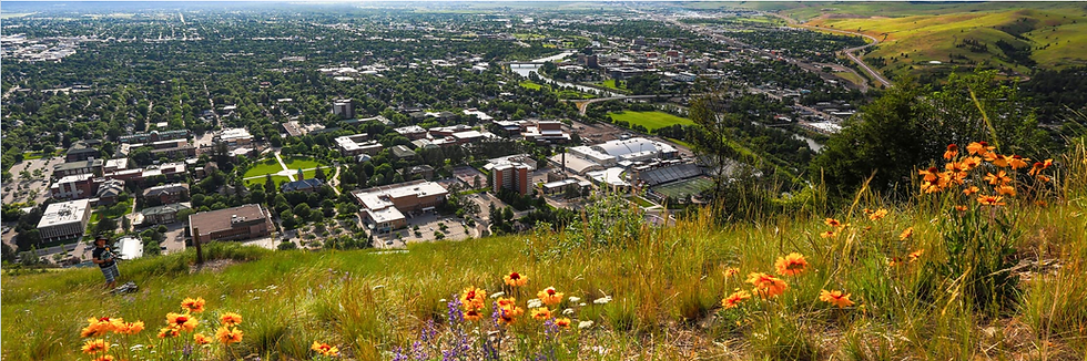 UM Enrollment Up Again, Largest Growth Rate in 14 Years