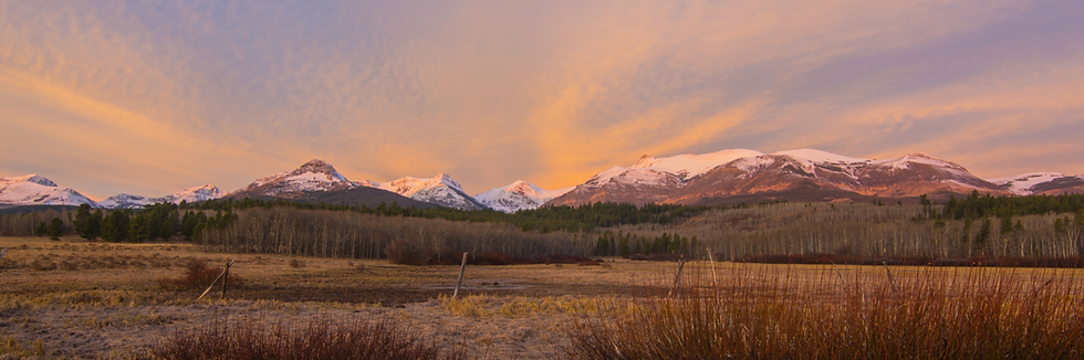 UM Creates New Partnership to Expand Montana’s Technology Workforce