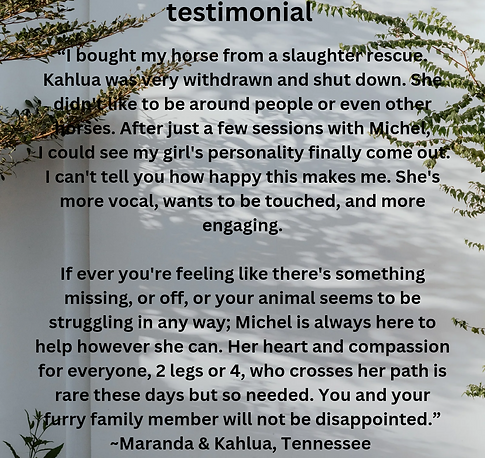 Reminder Modern Minimalist Instagram Post_20240428_221229_0000.png