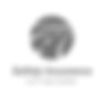 black and white safety insurance logo