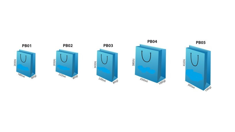 Customised Printing artpaper paper bag from 100 pieces