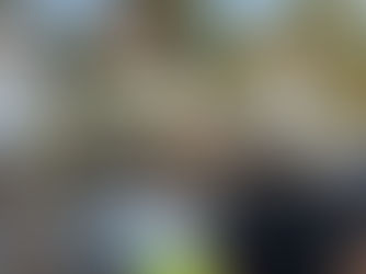 ¿La presidenta va sola? El Plan por la Paz y la Justicia de Michoacán