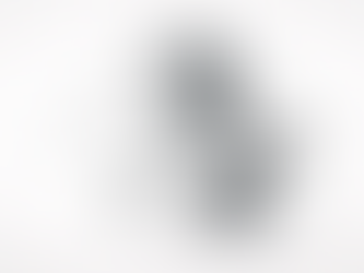 Choque de poderes: El fallo de la Suprema Corte anti Trump