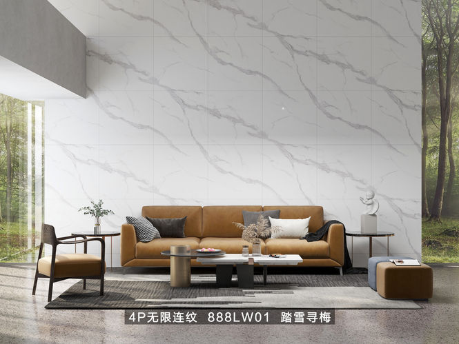 Elegant Carrara Lifestyle.jpg