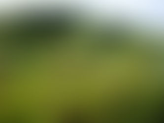 東京都合唱連盟のクラウドファンディング